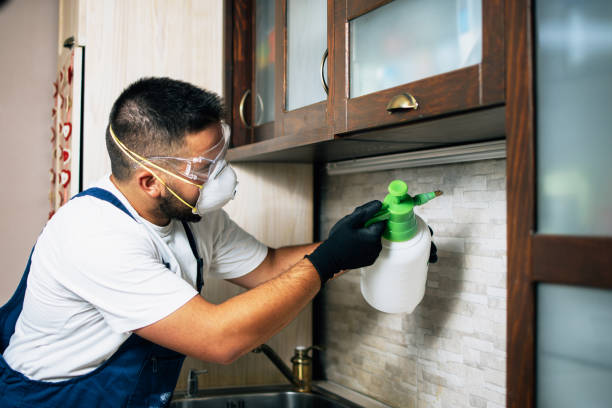 Best Residential Pest Control  in Angustura, NM