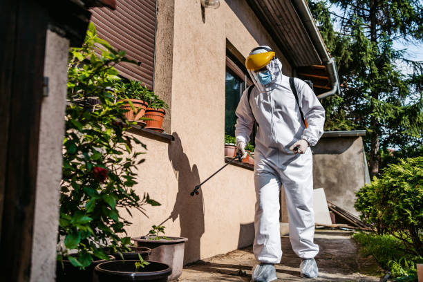 Best Mosquito Control Services  in Angustura, NM