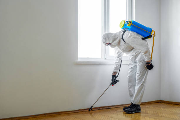 Best Bed Bug Extermination  in Angustura, NM