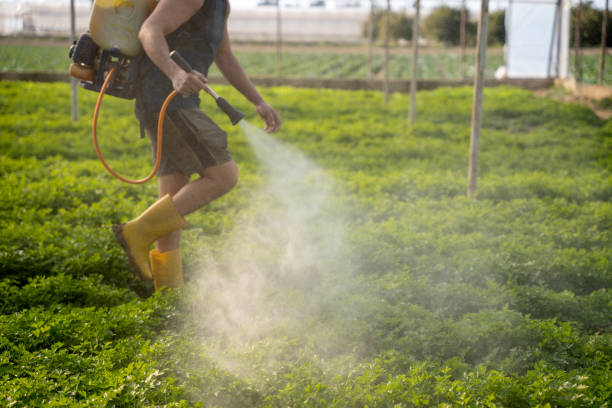 Pest Prevention Services in Angustura, NM
