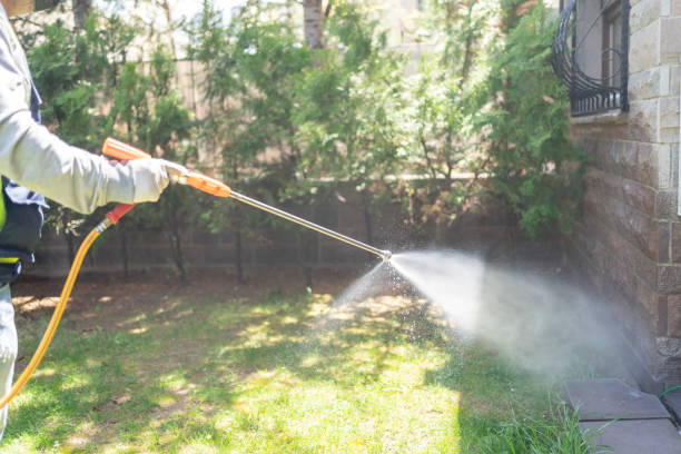 Best Ant Control Services  in Angustura, NM